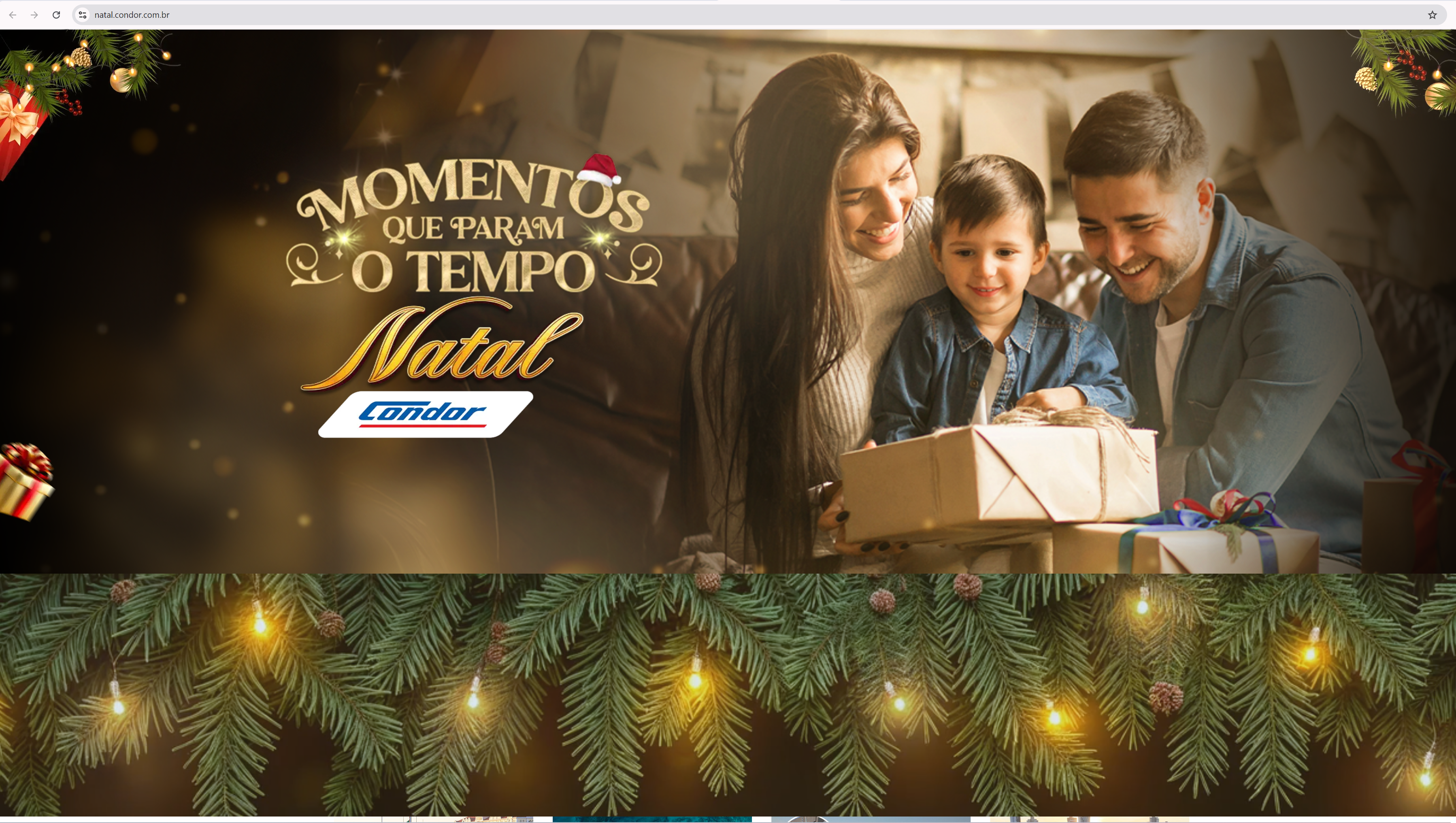 Natal Condor